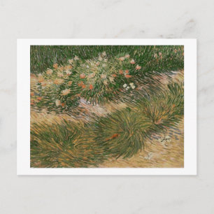 Grass & Butterflies (F460) Van Gogh Fine Art Postcard