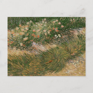 Grass & Butterflies (F460) Van Gogh Fine Art Postcard