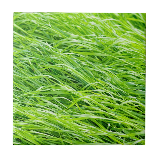 Grass Ceramic Tile (Front)