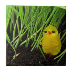 grass chick ceramic tile