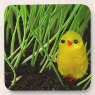 grass chick coaster