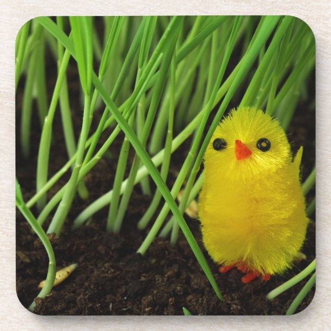 grass chick coaster (Front)