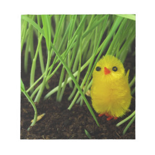 grass chick notepad