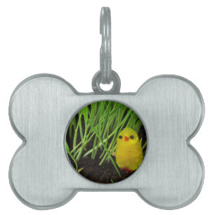 grass chick pet name tag