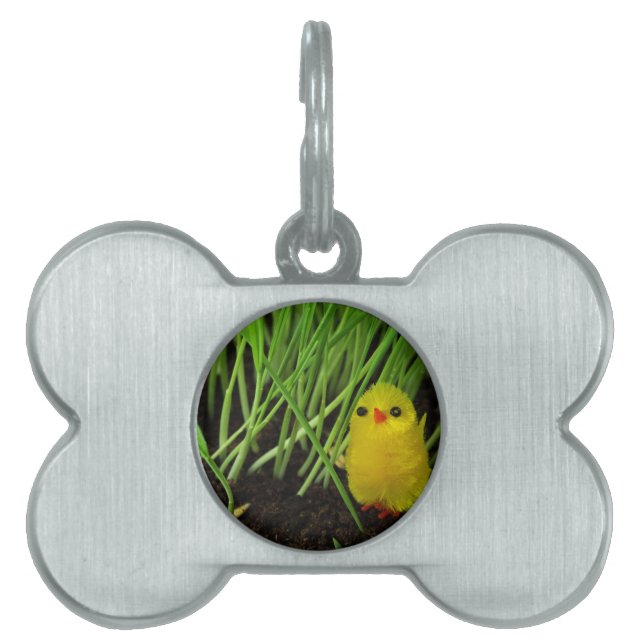 grass chick pet name tag (Front)