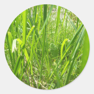 Grass Classic Round Sticker