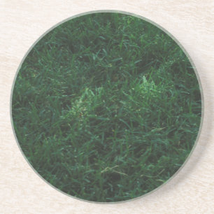 Grass Coaster