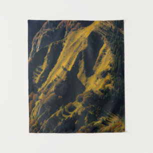 Grass covered mountain in autumn tapestry
