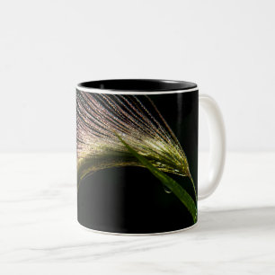 grass cup with dew