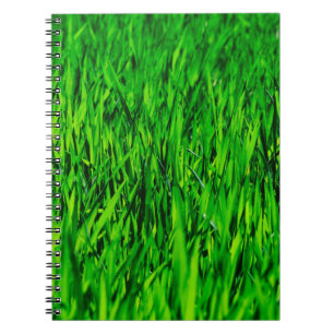 Grass field meadow lawn growth notebook