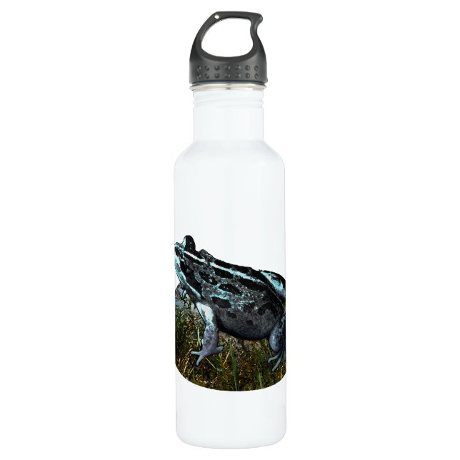 Grass Frog Painted, Water Bottle (Front)