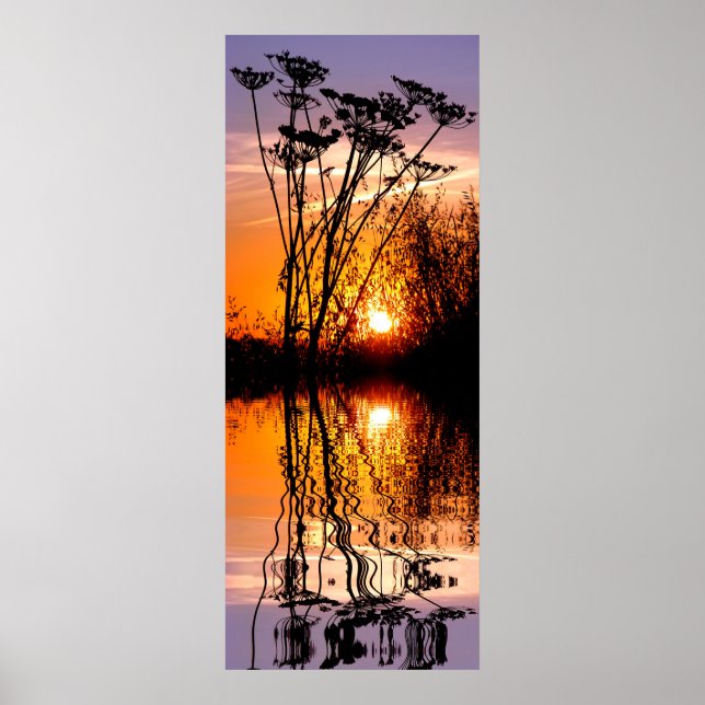 Grass in the sunset above water with reflection poster (Front)