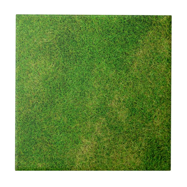 Grass Lawn Ceramic Tile (Front)