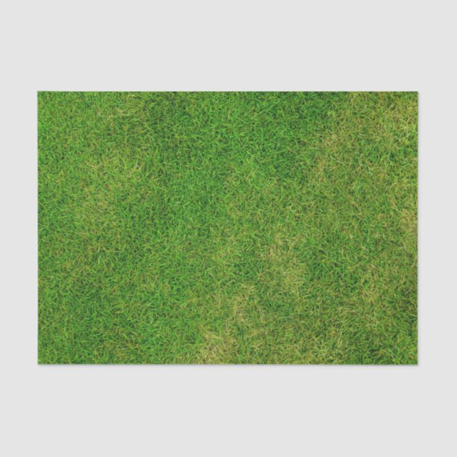 Grass Lawn Tissue Paper (Front)