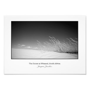 Grass on Dune Photo Print