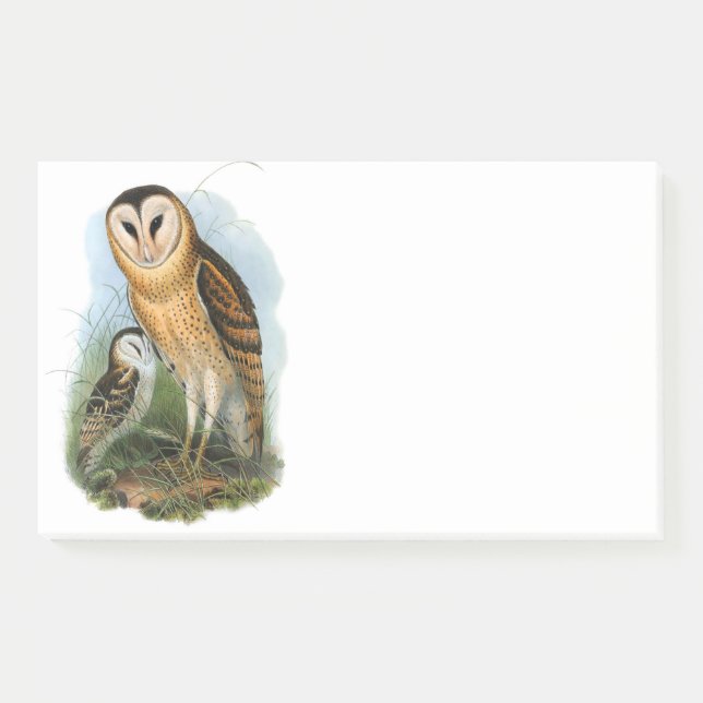 Grass Owl , 10" x 6" Post-it® Notes (Front)