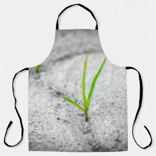 Grass pavement brick poetry stone apron