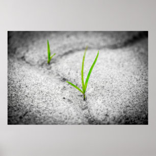 Grass pavement brick poetry stone poster