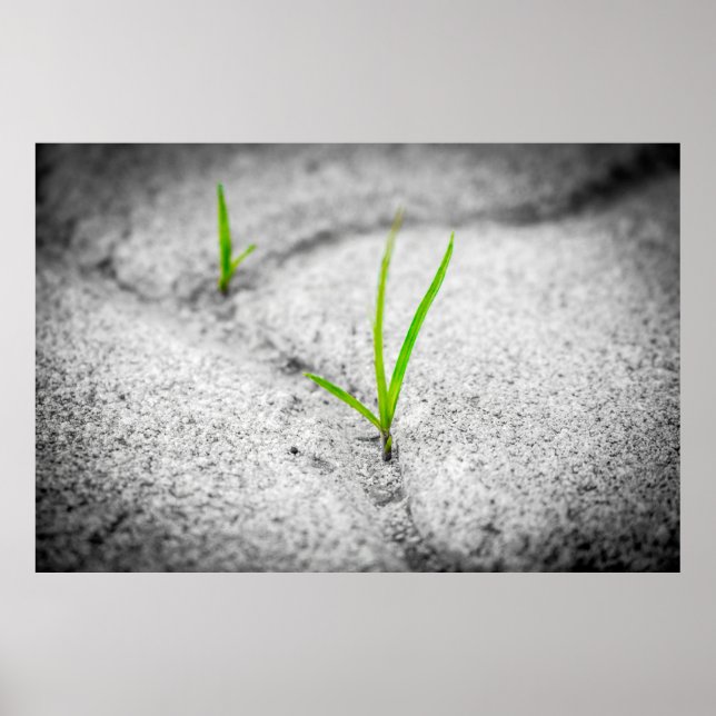 Grass pavement brick poetry stone poster (Front)