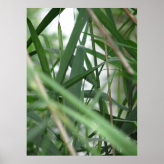 grass poster