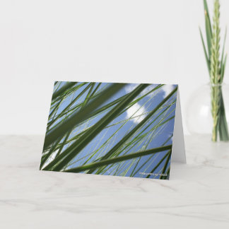 Grass Prism  - Notecard