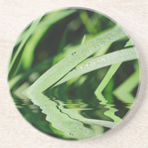 grass reflections coaster