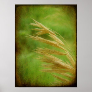Grass Seed Poster