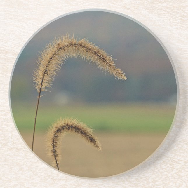 Grass Seed Stalks Coaster (Front)