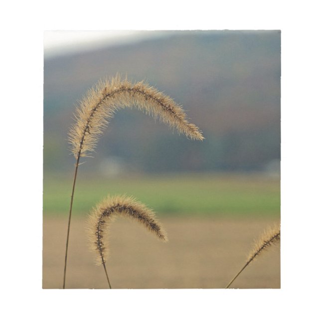Grass Seed Stalks Notepad (Front)