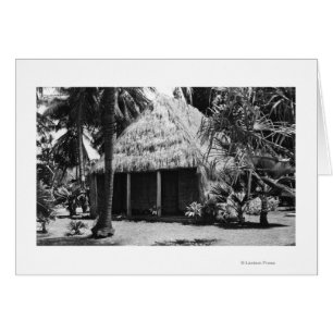 Grass Shack on Beach - Hawaii Island