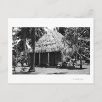 Grass Shack on Beach - Hawaii Island