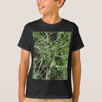 Grass