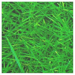 Grass Texture Fabric