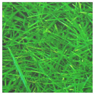 Grass Texture Fabric