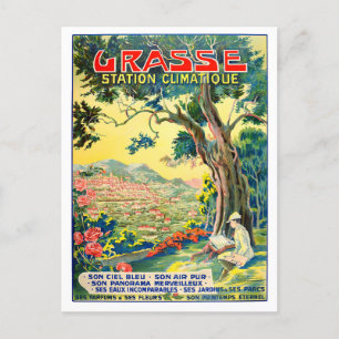 Grasse France vintage travel Postcard