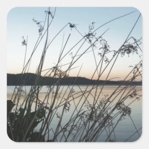 Grasses at lake Sunset Square Sticker