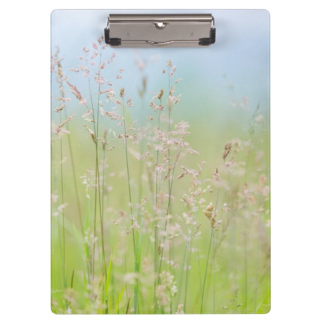 Grasses in motion clipboard (Front)