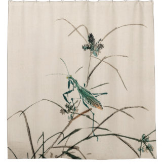 Grasshopper by Kōno Bairei  Shower Curtain