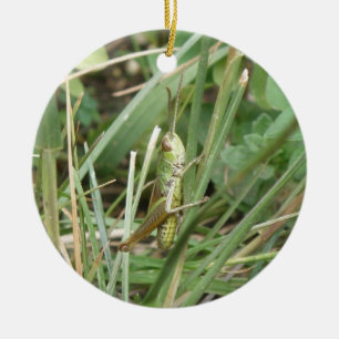 Grasshopper Camouflage Custom Birthday Ceramic Tree Decoration