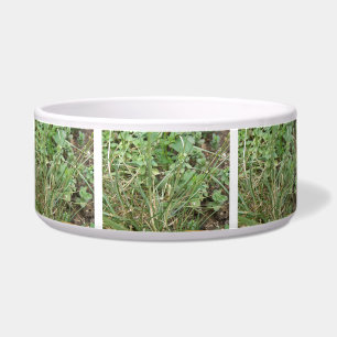Grasshopper Camouflage Dog Bowl