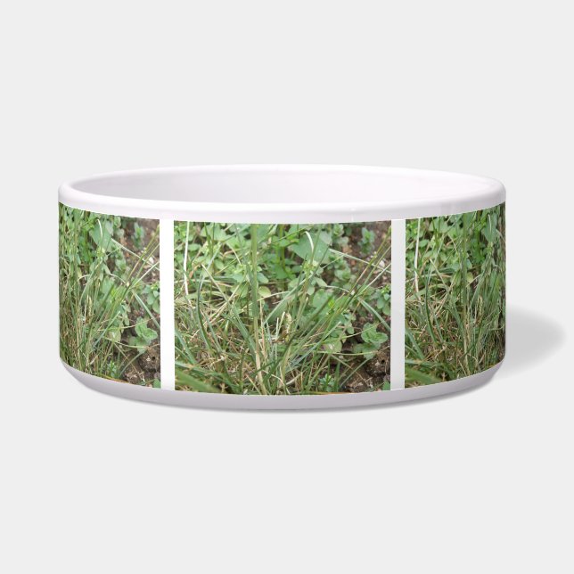 Grasshopper Camouflage Dog Bowl (Front)