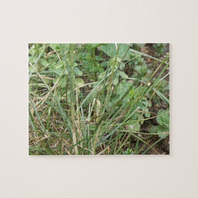 Grasshopper Camouflage Puzzle (Horizontal)
