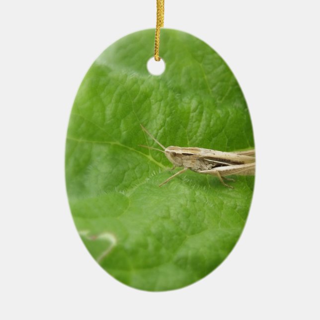 Grasshopper Ceramic Ornament (Front)