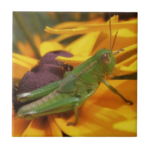 Grasshopper Ceramic Tile
