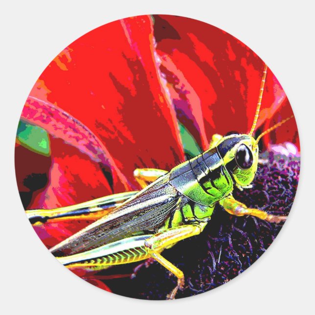 Grasshopper Classic Round Sticker (Front)