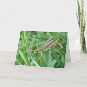 Grasshopper Customisable Greeting Card