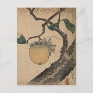 Grasshopper eating persimmon - Katsushika Hokusai Postcard