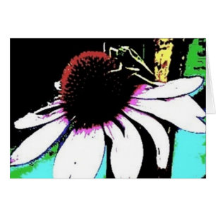Grasshopper Echinacea Abstract