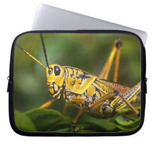 Grasshopper, Everglades National Park, Florida, Laptop Sleeve