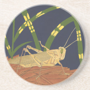 Grasshopper in Green Grass on Blue Background Coaster
